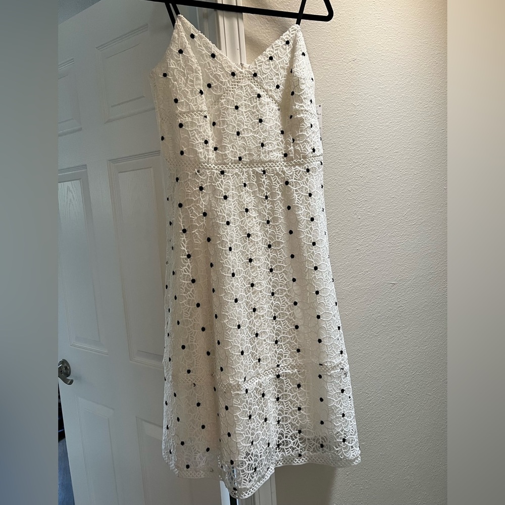 Antonio Melani ivory/black lace dress.